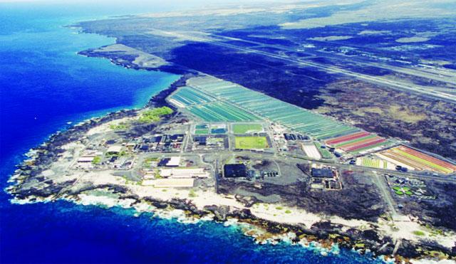 Bề dày lịch sử tôm giống Hawaii